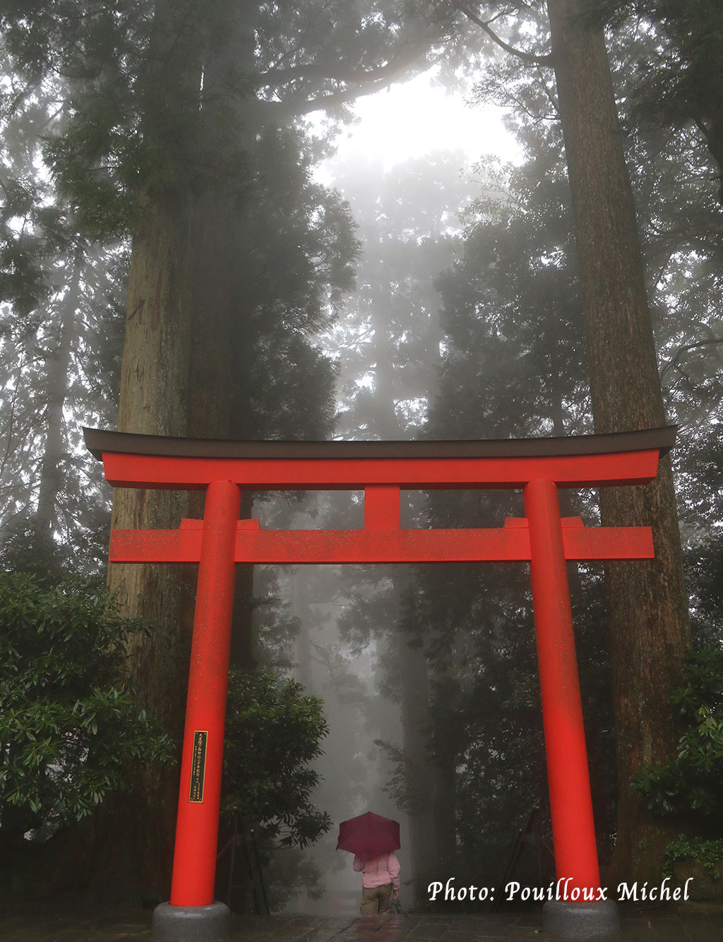 Torii du sanctuaire shintoïste de Hakone