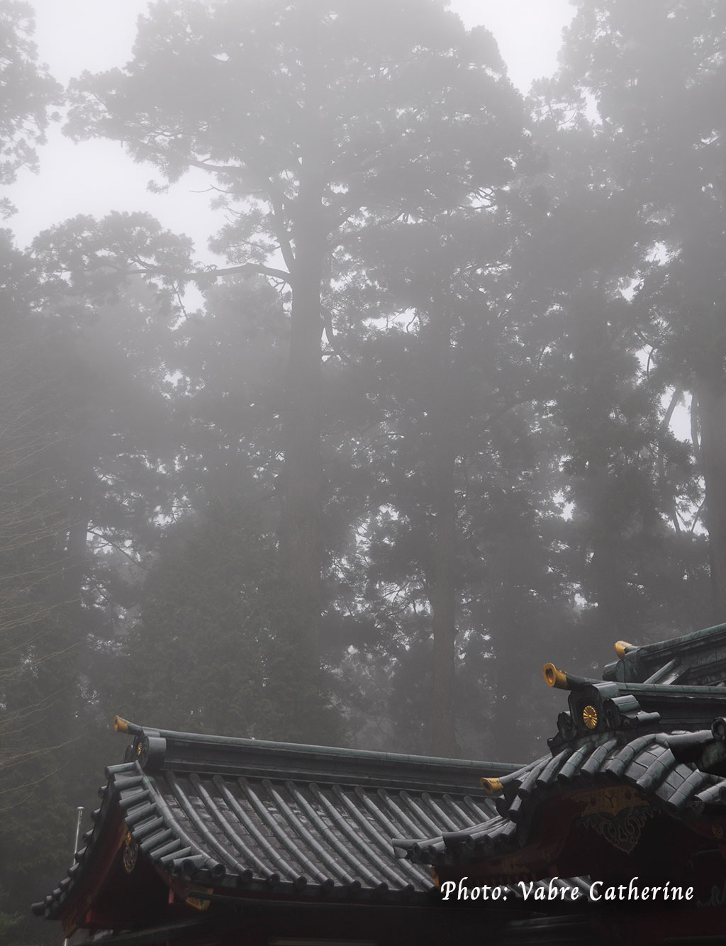 Toit du sanctuaire de Hakone au milieu de la forêt