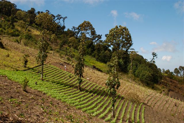 Départ pour l'ascension du volcan Acatenango