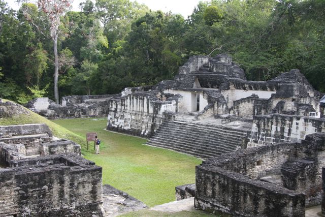 Tikal, splendeur Maya