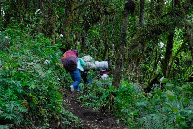 Départ pour l'ascension du volcan Acatenango