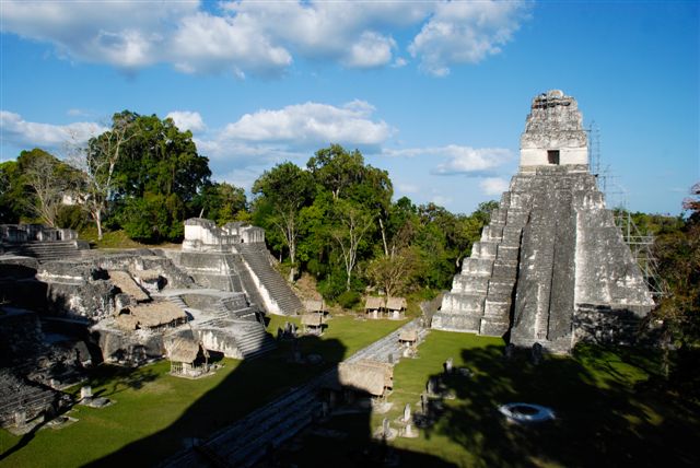 Tikal, splendeur Maya