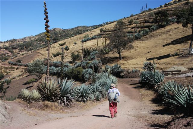 Marché de campagne près de Ventosa - Début du trek dans la Sierra de los Cuchumatanes