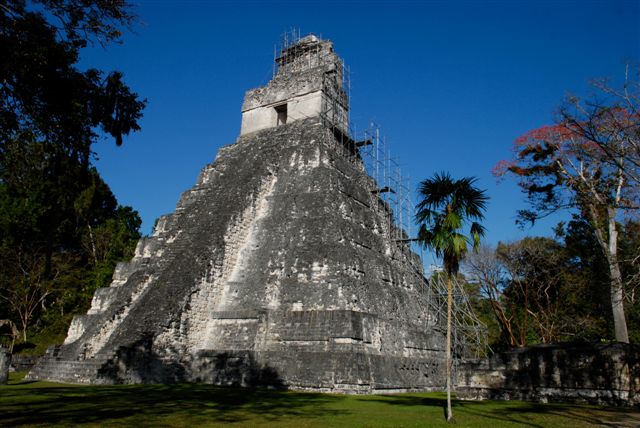 Tikal, splendeur Maya