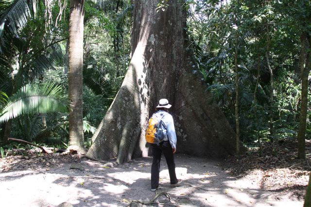 Des hautes Terres à la jungle du Peten