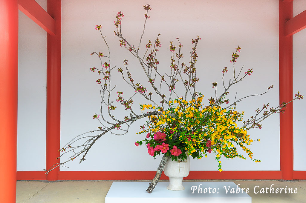 Arrangement floral dans un temple de Kyoto