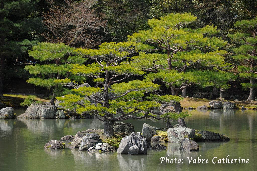 Dans le jardin du Pavillon d'Or de Kyoto