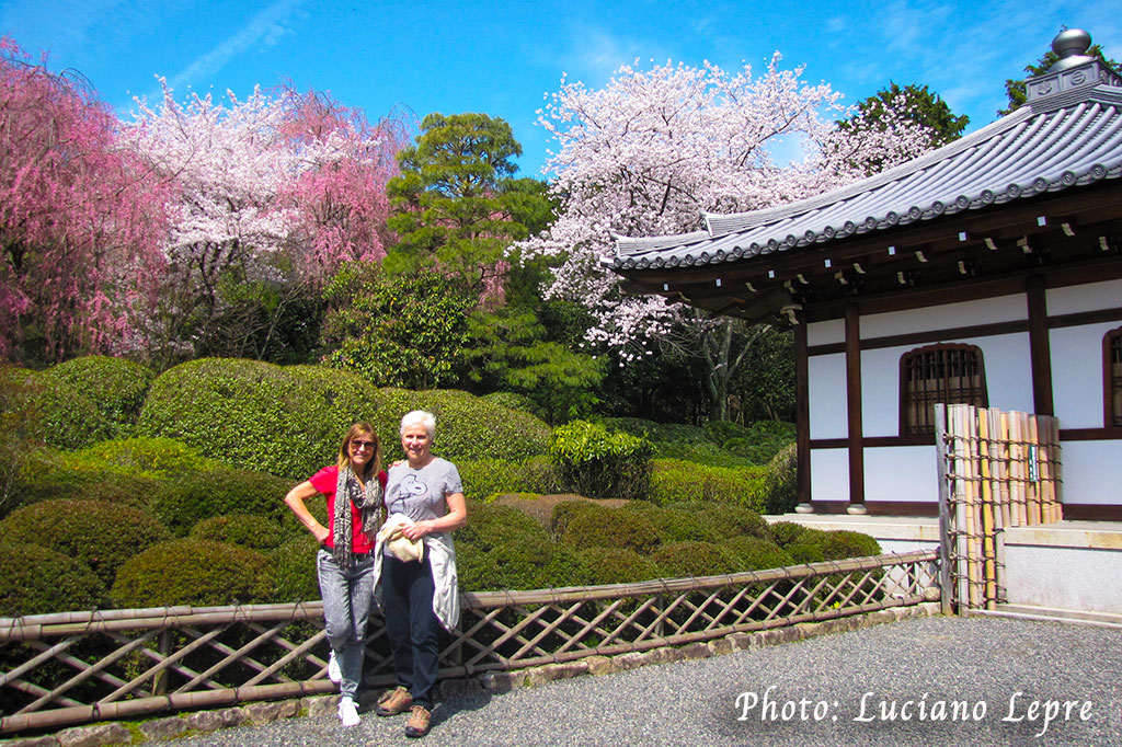 Dans le jardin de Rojan-ji, Kyoto