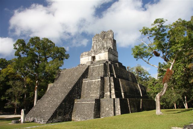 Tikal, splendeur Maya