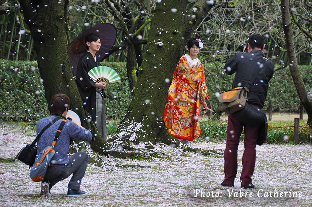 Séance photo devant un cerisier en fleur dans le Kenroku-en, Okayama