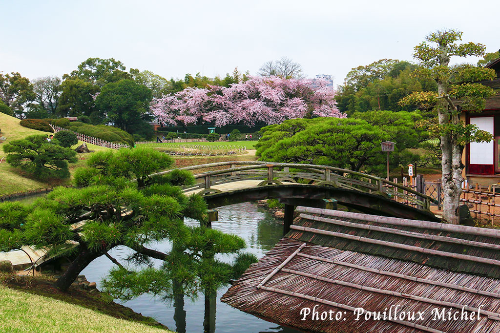 Le jardin de Kenroku-en 