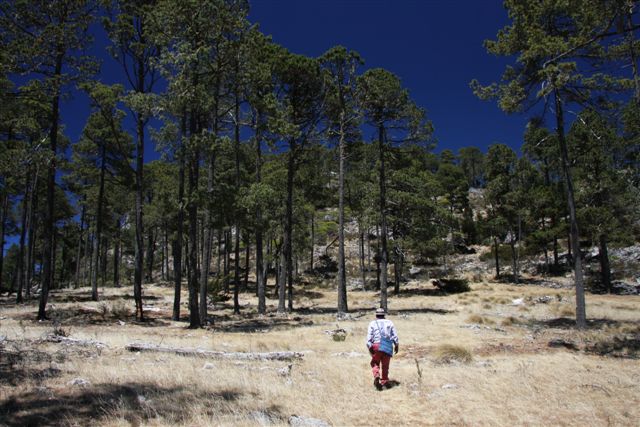 Début du trek dans la Sierra de los Cuchumatanes