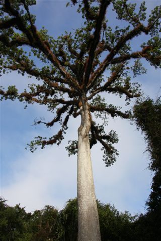 Des hautes Terres à la jungle du Peten