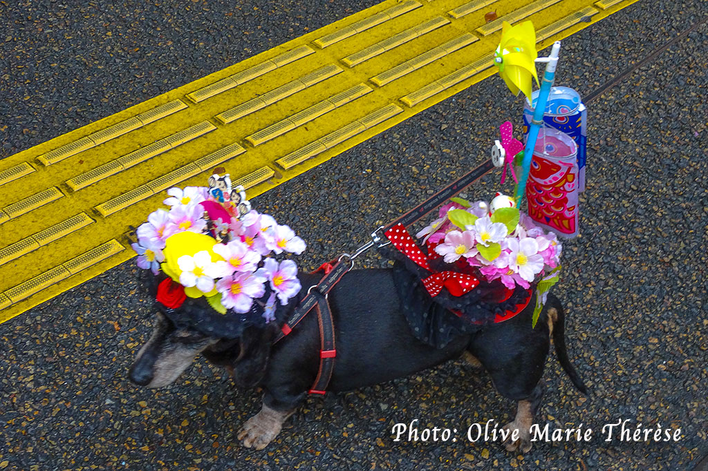 Dans les rues de Takamatsu