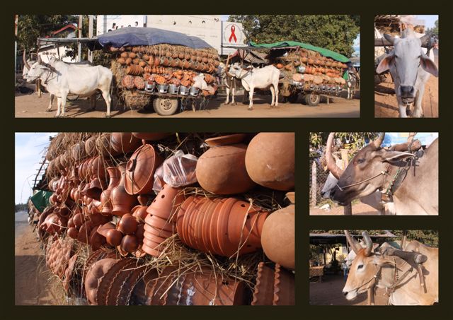 En route vers les Cardamomes