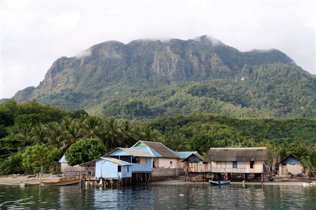 Rapace - Kelang et Boano Islands