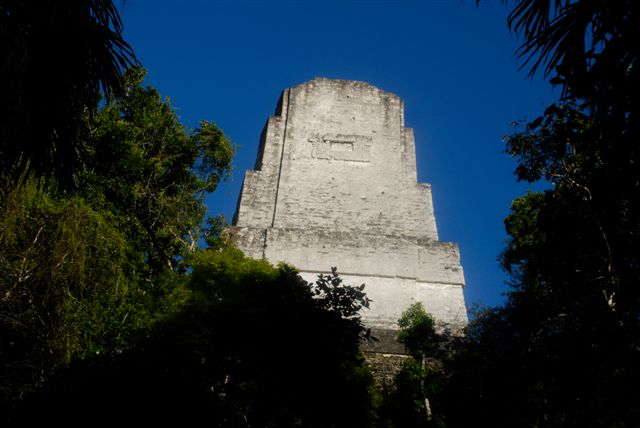 Tikal, splendeur Maya