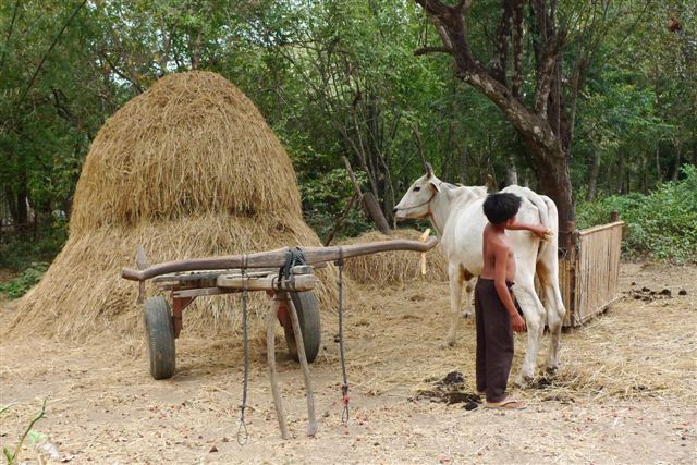 De Battambang à Kampong Chhnang