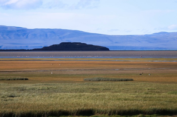 10 Novembre Patagonie Perito Moreno (15 sur 15)