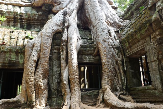 Autour d'Angkor Vat et de Ta Prohm