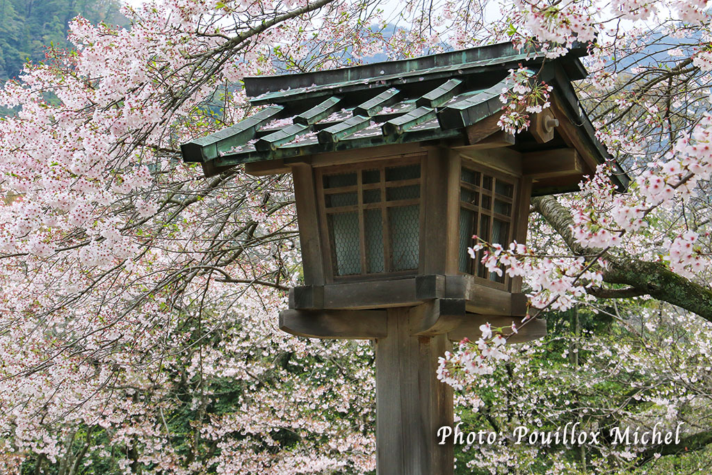 1002_Spring_Japan_2015