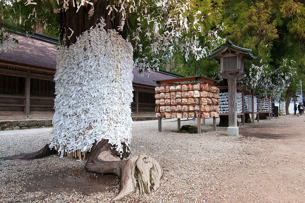 Des milliers de Omukuji, une espère de loterie, accrochés aux arbres