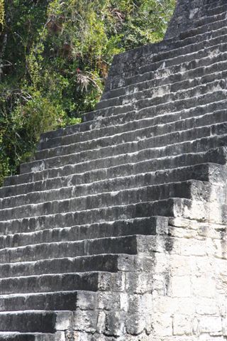 Tikal, splendeur Maya