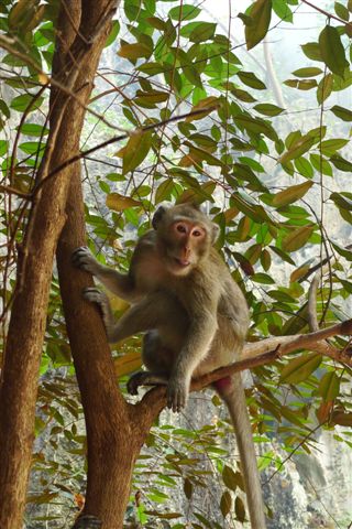 Entre Kampot et Kep