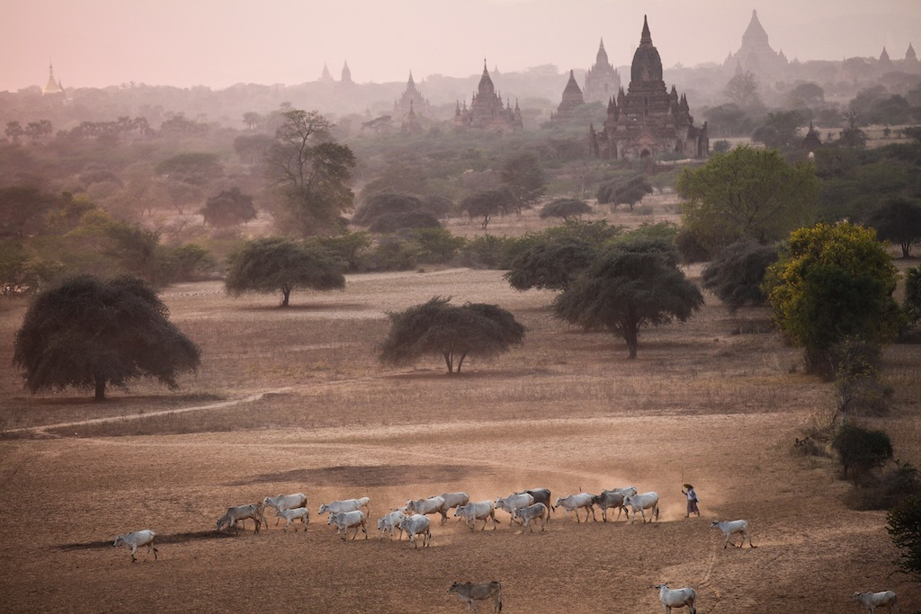 Depuis la grande terrasse de Pyat That Gyi, coucher du soleil sur la plaine de Bagan.
