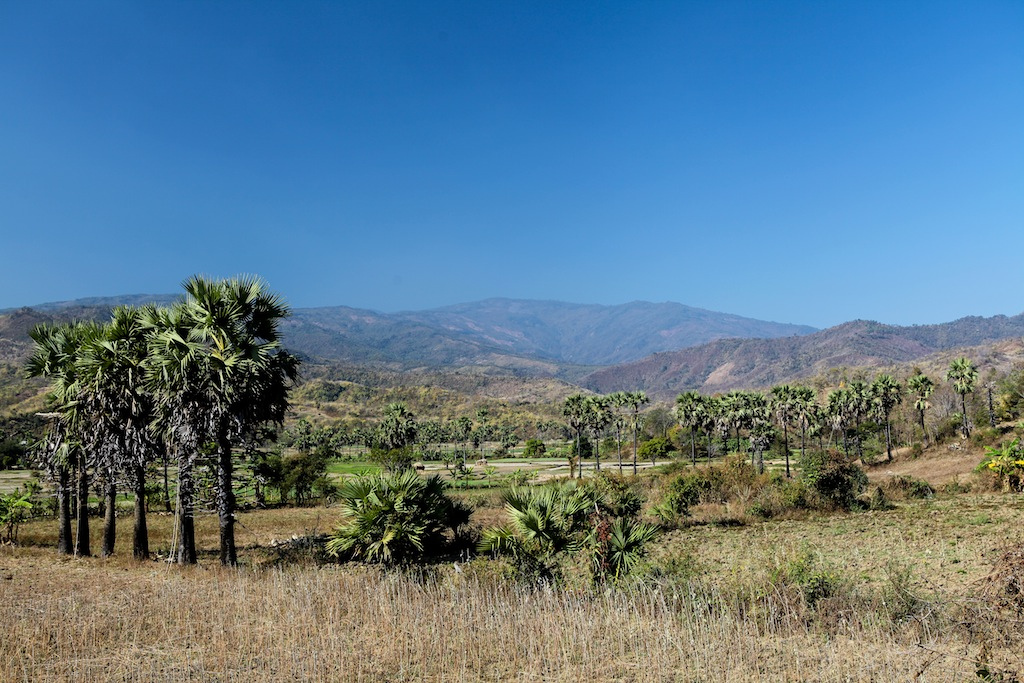 Retour dans les plaines au pied des montagnes Chin