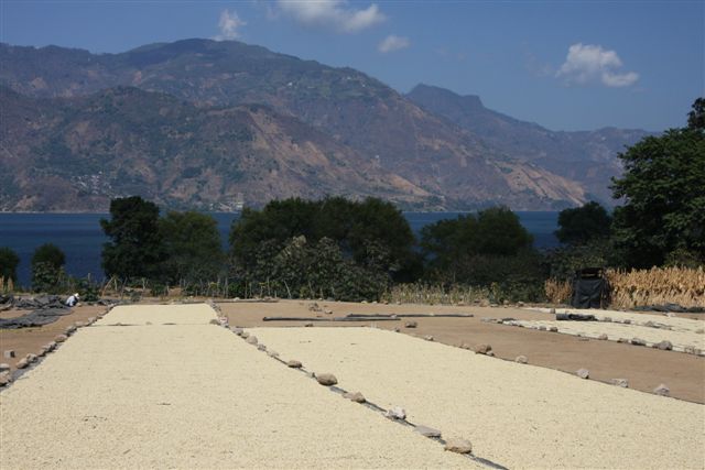 Balade sur les rives du lac Atitlan