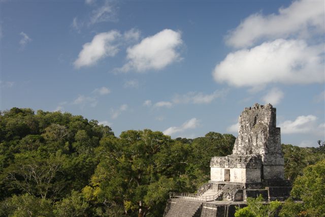 Tikal, splendeur Maya