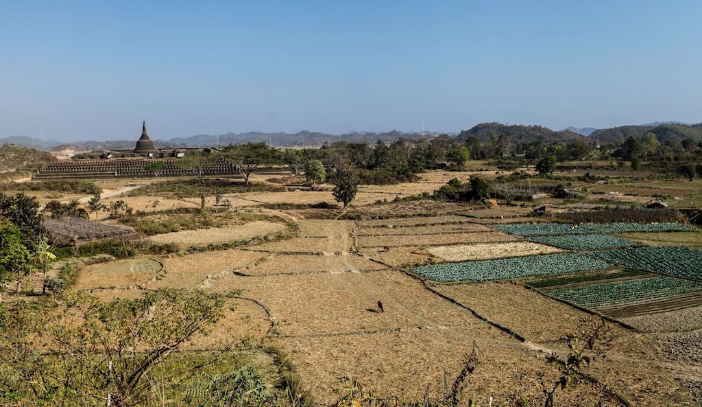 Vue générale de la Paya Kothaung, depuis la Paya Peisi Daung
