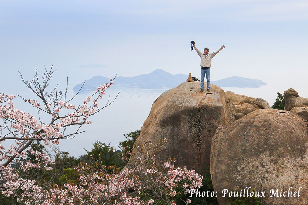 Au sommet du Mt. Misen avec les cerisiers en fleurs, Miyajima