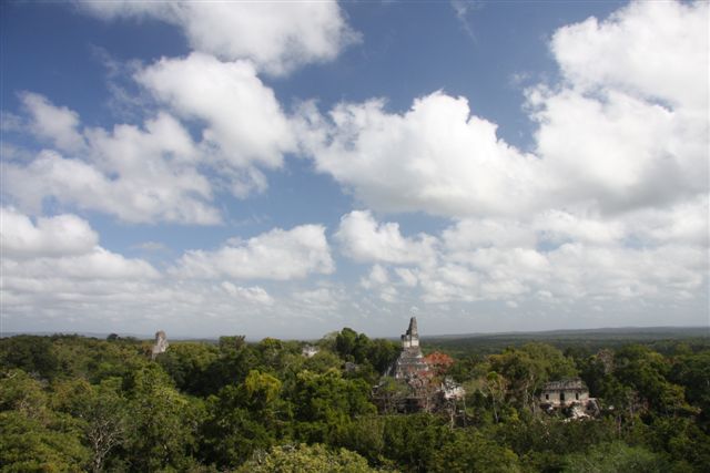 Tikal, splendeur Maya