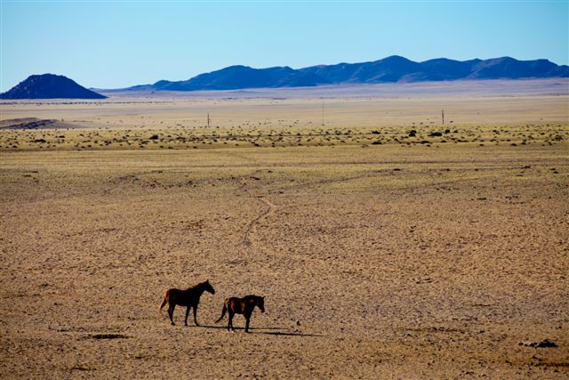 14 Juillet. Du Fish River Canyon à la plaine de Garub et ses chevaux sauvages