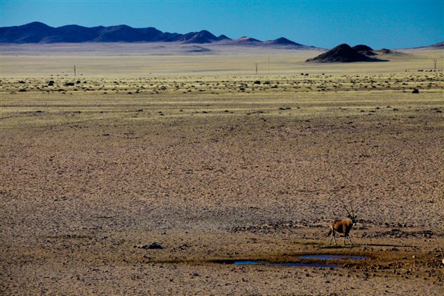 14 Juillet. Du Fish River Canyon à la plaine de Garub et ses chevaux sauvages