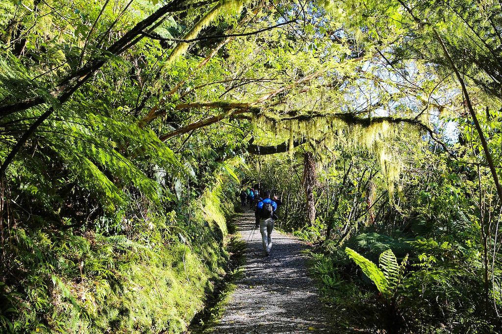 En arrivant à Franz Joseph, vues sur le Mt Elie de Beaumont - Franz Joseph Glacier