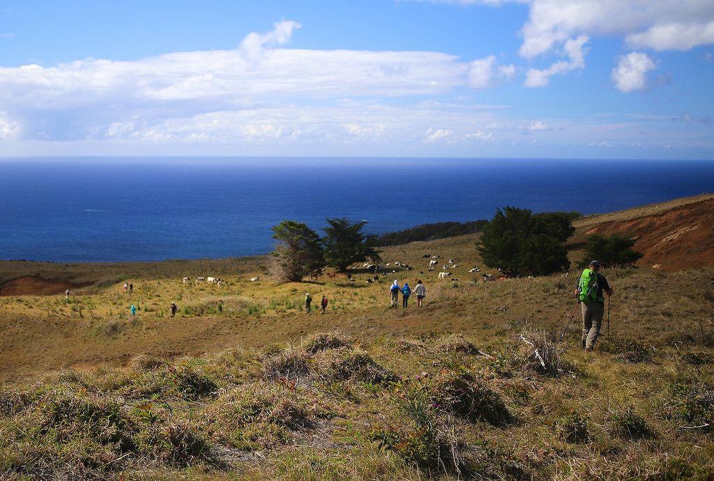 Dans la descente du Rano Kau, en direction du village de Hanga Roa