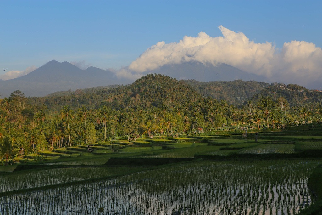 Les montagnes du centre de Bali : Lesong et Sangiyang (2093 m)