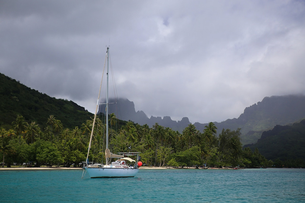 Dans la baie d'Opunohu