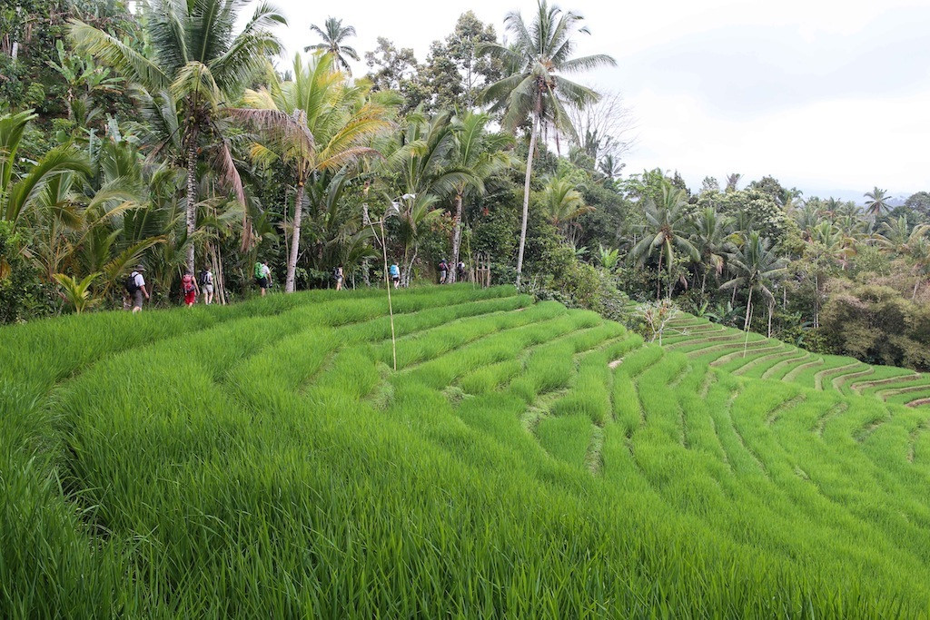 Balade le long des canaux d'irrigation