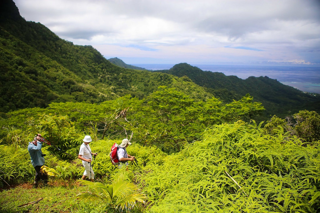 Depuis le col des 3 cocotiers