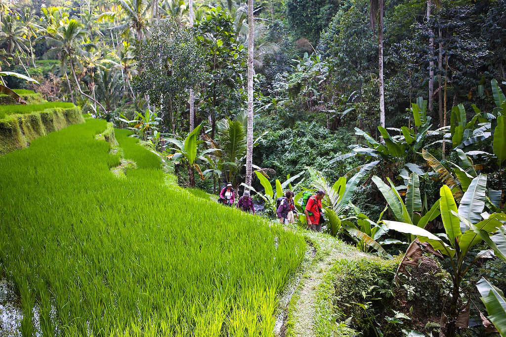 Entre Gunung Kawi et Tirta Empul