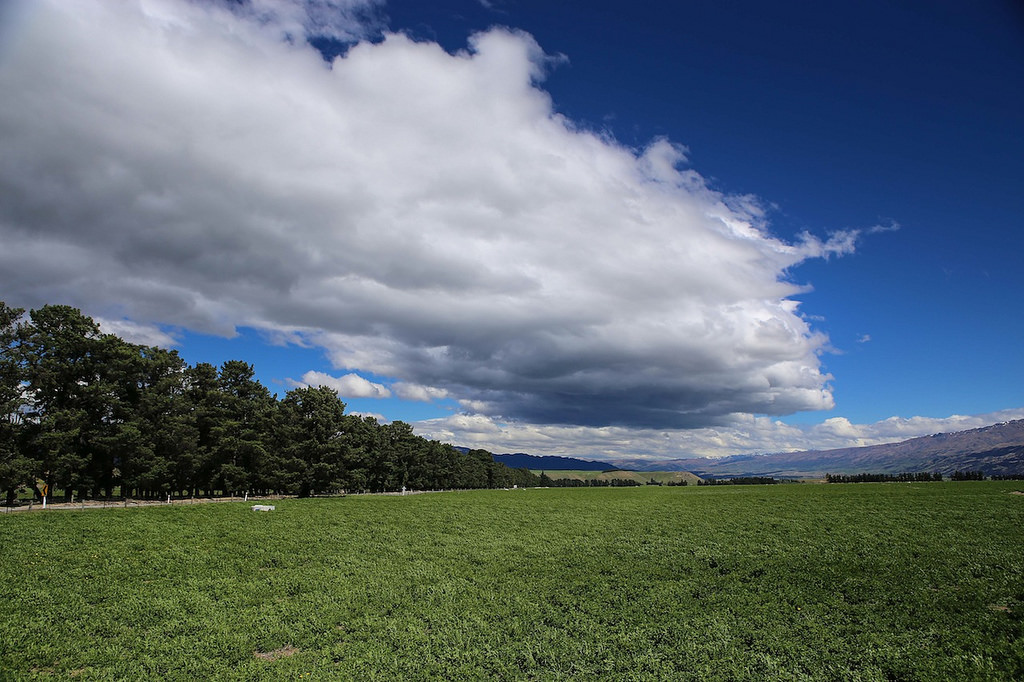 Paysages typiques de la campagne néo-zélandaise, prairies, élevage intensif et arrosage à grande échelle