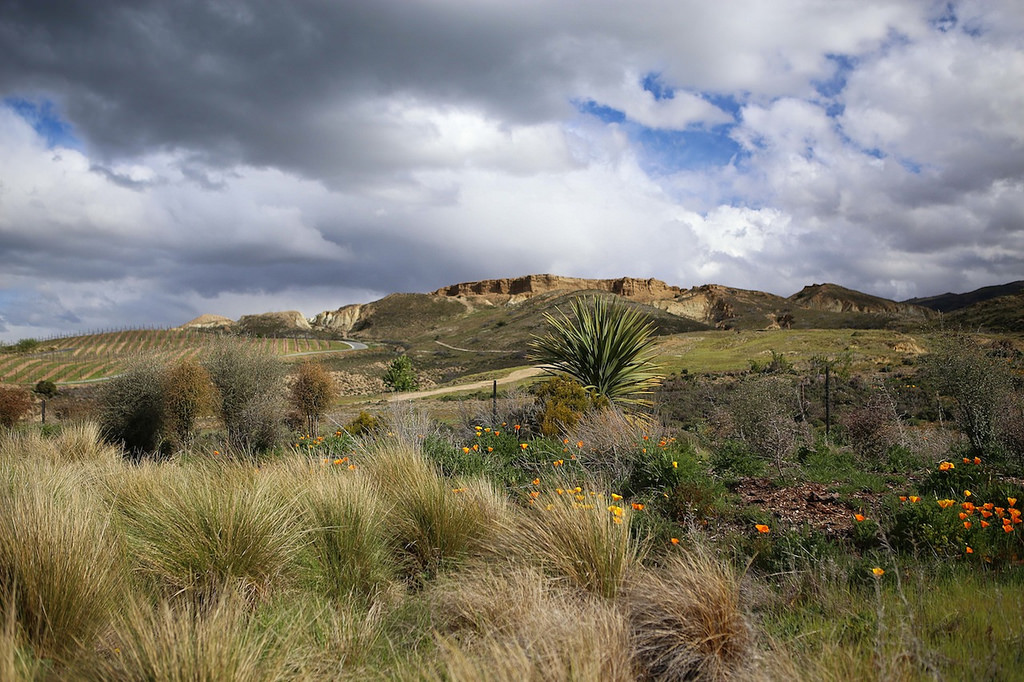Balade dans une ancienne mine d'or à ciel ouvert