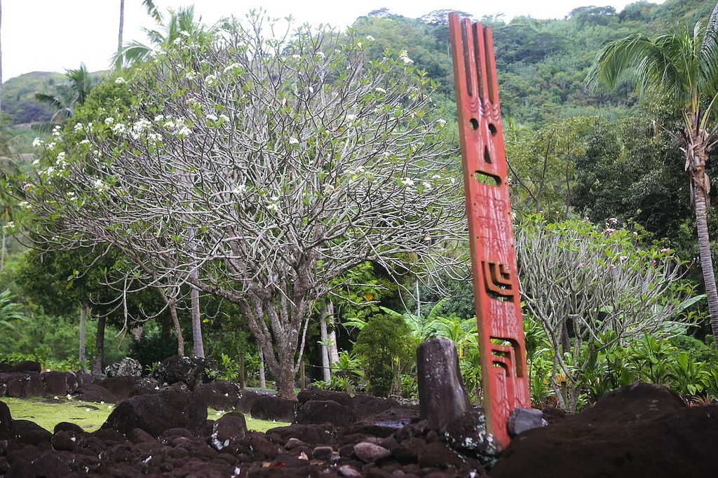 Sur le site archéologique d'Arahurahu