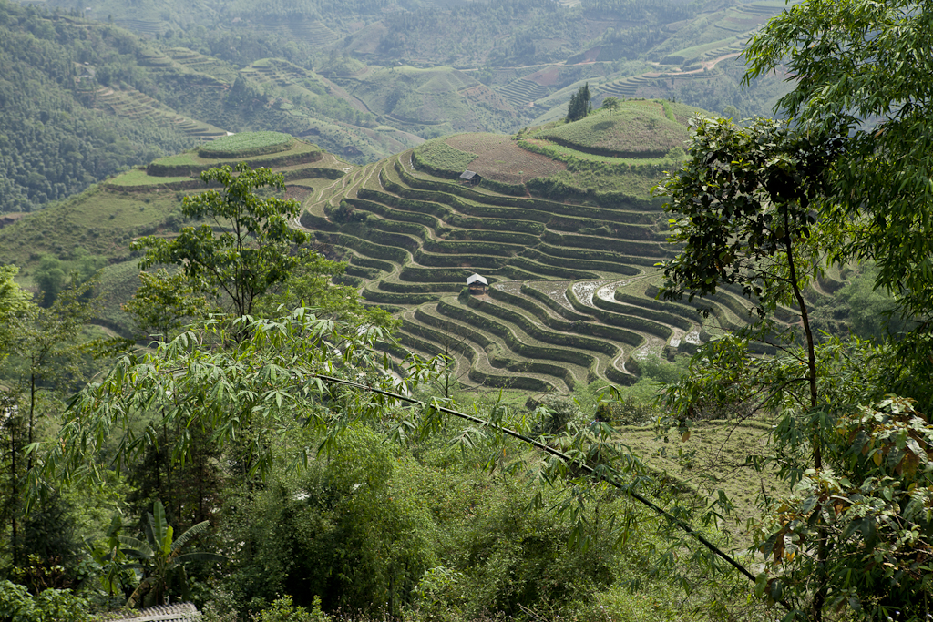 Passage en forêt - Départ du 3ème trek pour Bac Ha