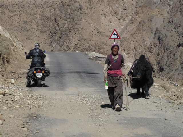 Entre Tsarap et Zanskar
