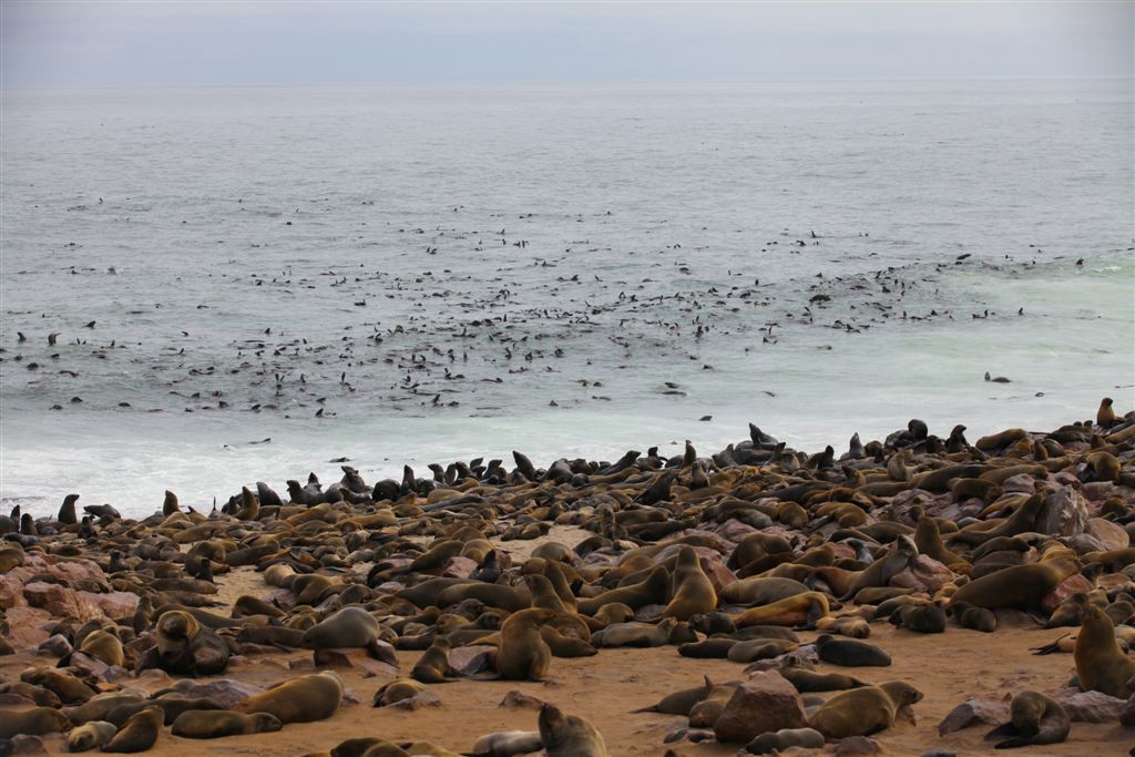 La plage est bondée